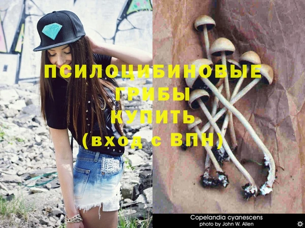 спайс Горнозаводск